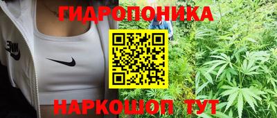 скорость Новодвинск