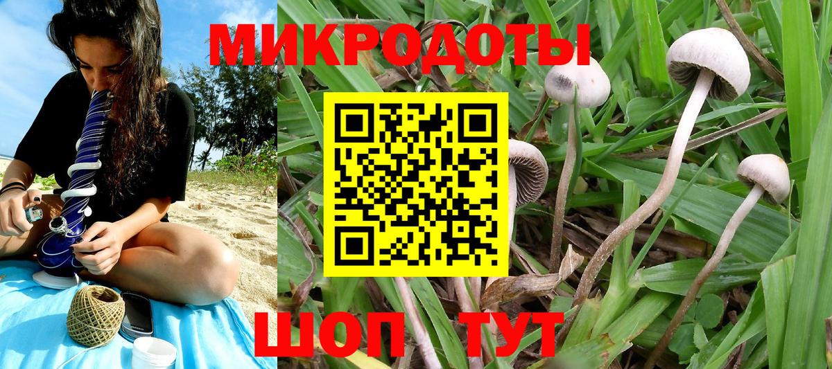 Галлюциногенные грибы Psilocybine cubensis Тольятти