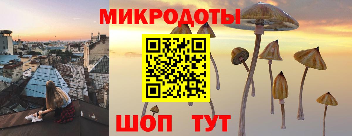 Тольятти  Галлюциногенные грибы MAGIC MUSHROOMS  Вход с VPN  Галлюциногенные грибы мухоморы 